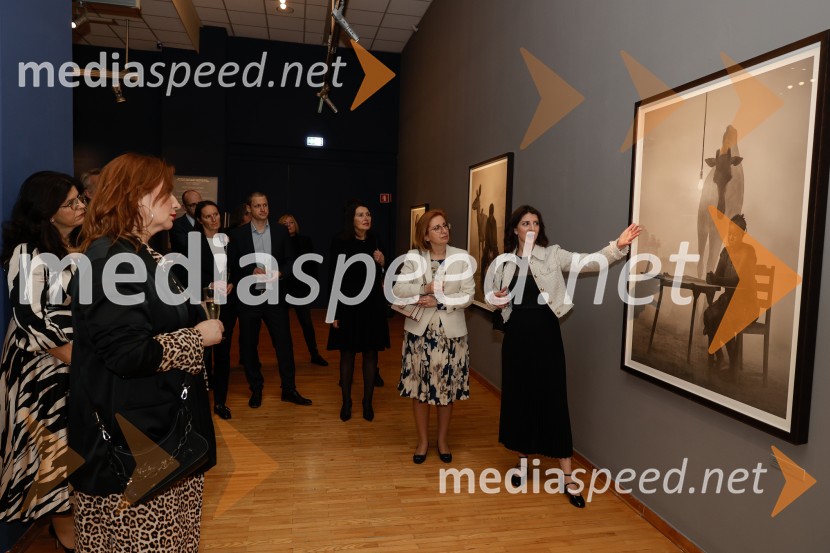  Katarina Hergouth, vodja razstavnega programa, Cankarjev domOtvoritev razstave Nicka Brandta, Napočil bo dan