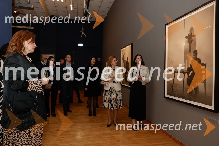  Katarina Hergouth, vodja razstavnega programa, Cankarjev domOtvoritev razstave Nicka Brandta, Napočil bo dan