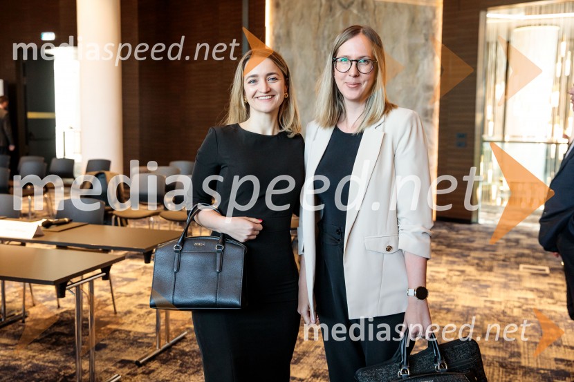 Čaj z razlogom: Krepitev kapitalskih trgov s pomočjo trajnostne pokojninske reforme