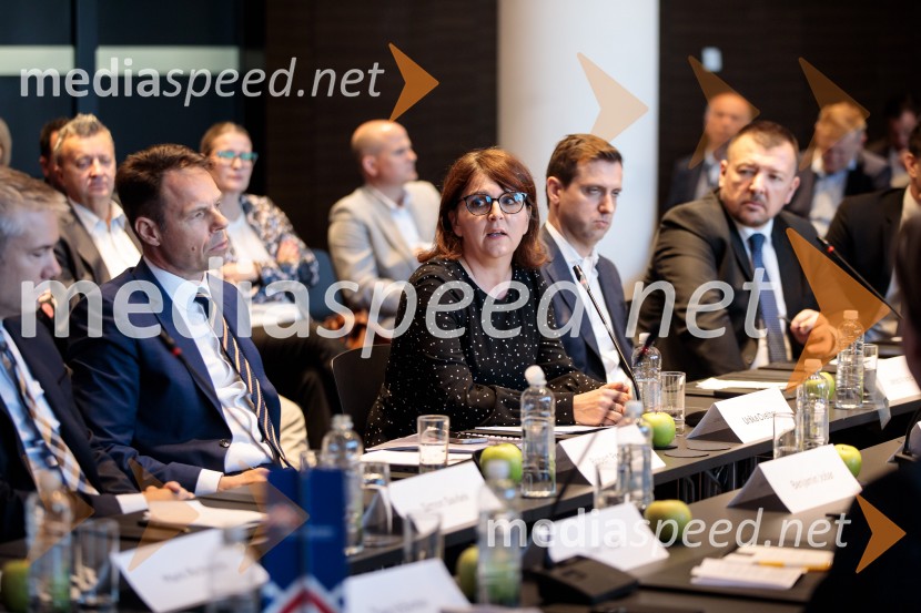  Urška Cvelbar, generalna direktorica, Direktorat za finančni sistem na Ministrstvu za finance Republike SlovenijeČaj z razlogom: Krepitev kapitalskih trgov s pomočjo trajnostne pokojninske reforme