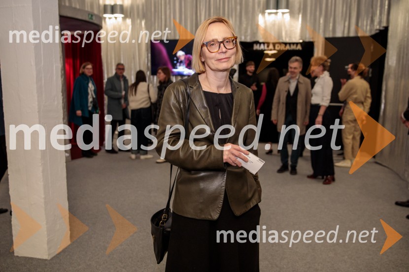 Tramvaj Poželenje, premiera v SNG Drama Ljubljana