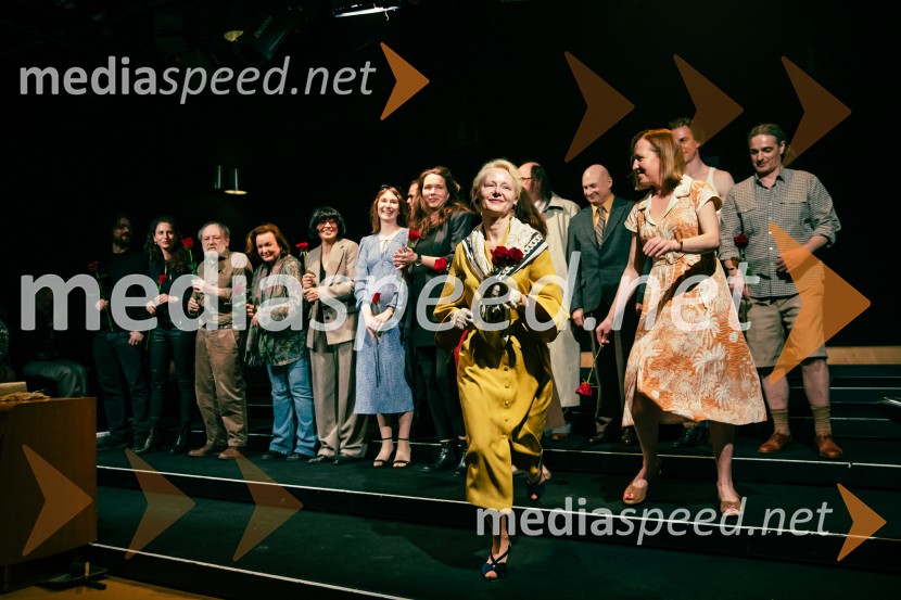 Tramvaj Poželenje, premiera v SNG Drama Ljubljana