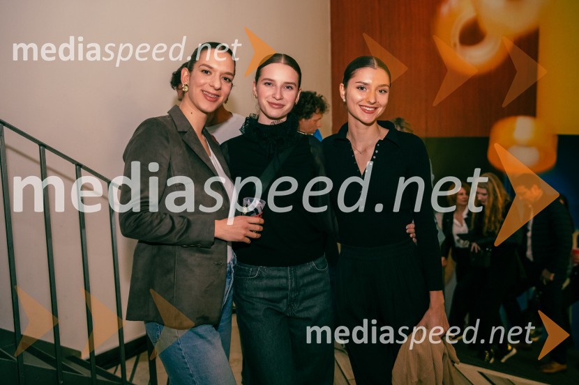 Tradicionalni koncert MGL&AGRFT v Kino Šiška