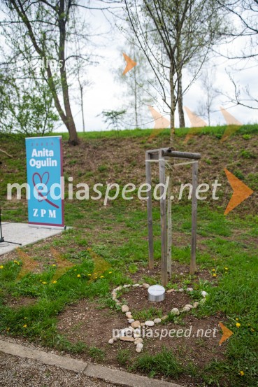 Spominska tabla v čast Aniti Ogulin ob Poti spominov in tovarištva