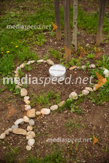 Spominska tabla v čast Aniti Ogulin ob Poti spominov in tovarištva