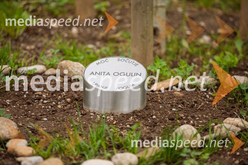 Spominska tabla v čast Aniti Ogulin ob Poti spominov in tovarištva