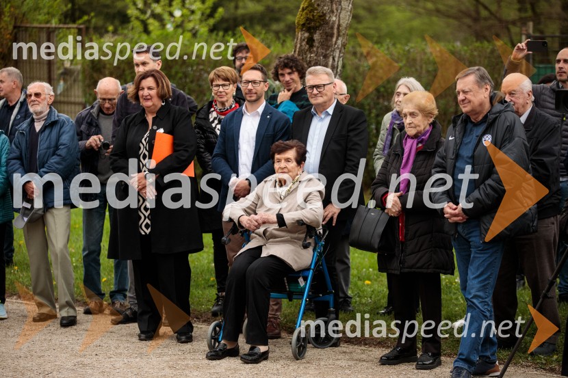 Spominska tabla v čast Aniti Ogulin ob Poti spominov in tovarištva