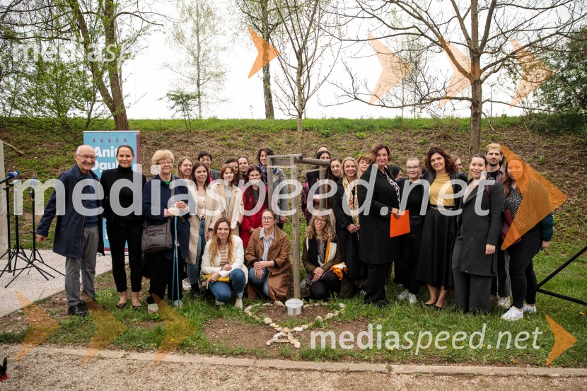 Spominska tabla v čast Aniti Ogulin ob Poti spominov in tovarištva