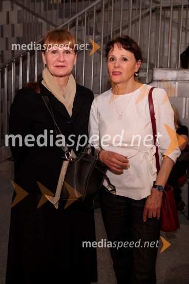 Zdravnica, premiera v SNG Drama Ljubljana