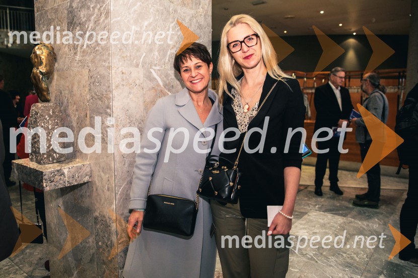 Kralj Lear, premiera v SNG Nova Gorica