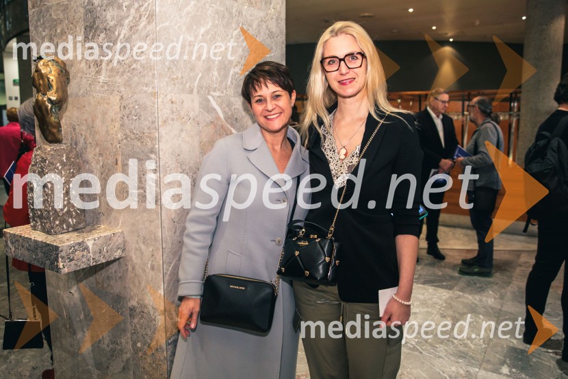 Kralj Lear, premiera v SNG Nova Gorica