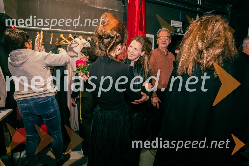 Kralj Lear, premiera v SNG Nova Gorica