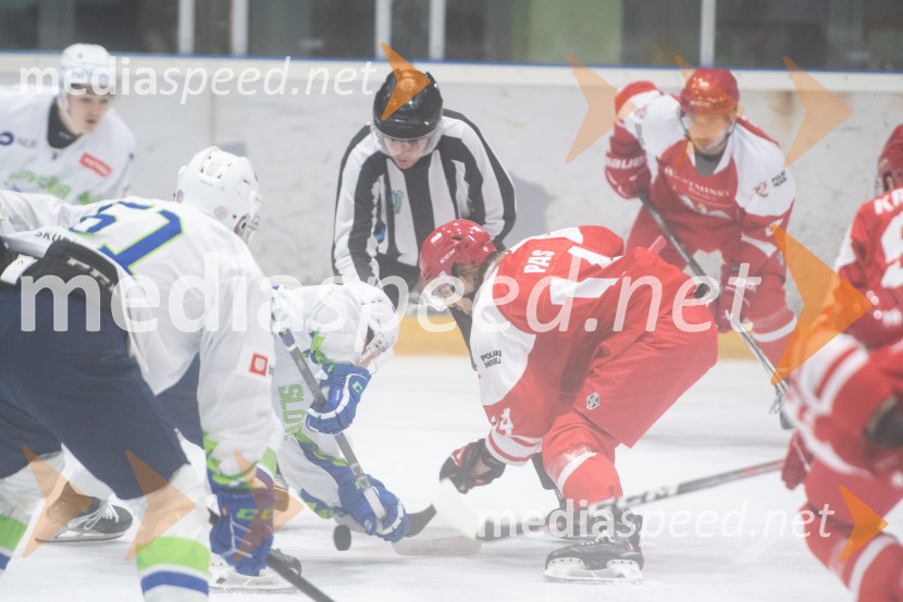 Slovenija - Poljska, prijateljska hokejska tekma v Mariboru