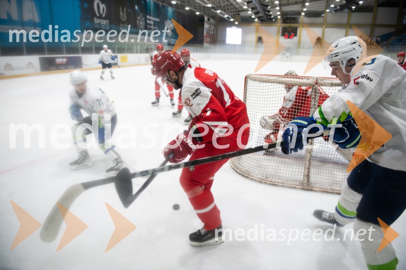 Slovenija - Poljska, prijateljska hokejska tekma v Mariboru