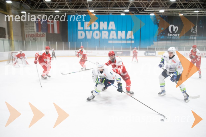 Slovenija - Poljska, prijateljska hokejska tekma v Mariboru