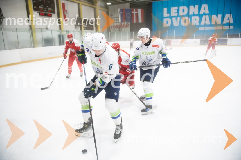 Slovenija - Poljska, prijateljska hokejska tekma v Mariboru
