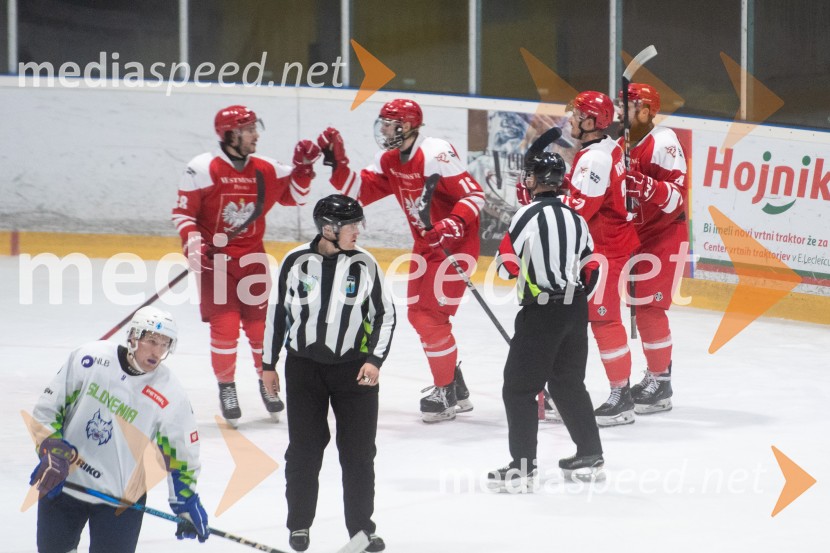 Slovenija - Poljska, prijateljska hokejska tekma v Mariboru