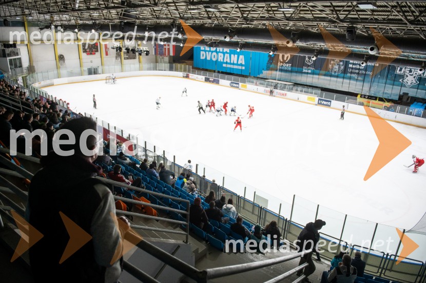 Slovenija - Poljska, prijateljska hokejska tekma v Mariboru