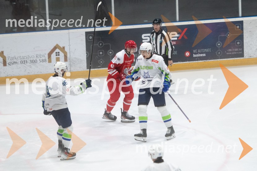 Slovenija - Poljska, prijateljska hokejska tekma v Mariboru