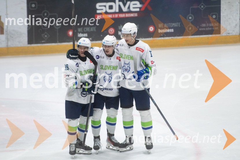 Slovenija - Poljska, prijateljska hokejska tekma v Mariboru