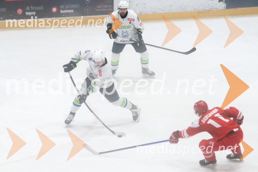 Slovenija - Poljska, prijateljska hokejska tekma v Mariboru