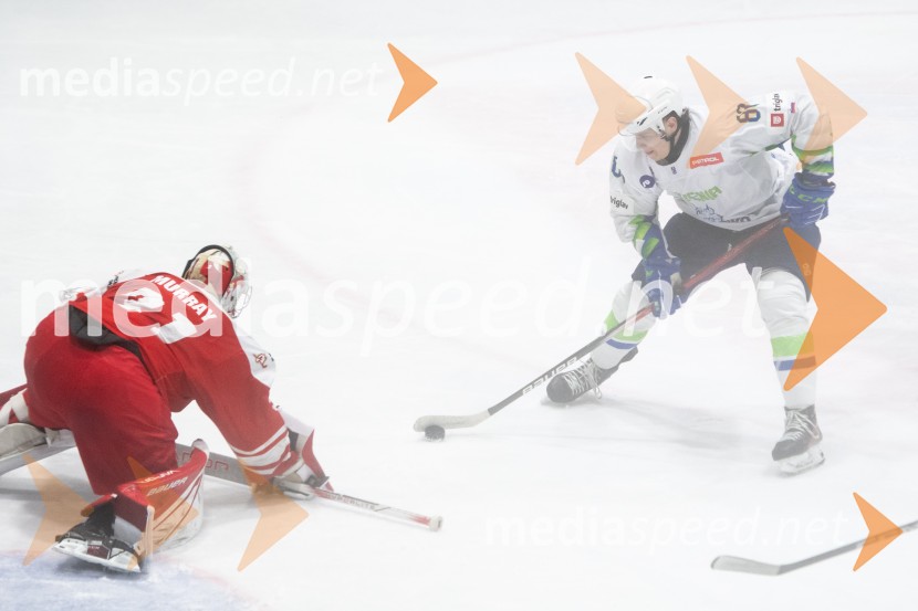 Slovenija - Poljska, prijateljska hokejska tekma v Mariboru