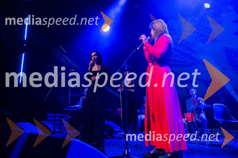 Koncert Svetlane Makarovič Nosimo rdečo zvezdo