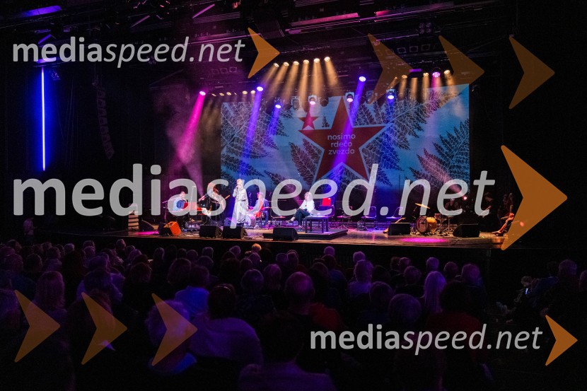 Koncert Svetlane Makarovič Nosimo rdečo zvezdo