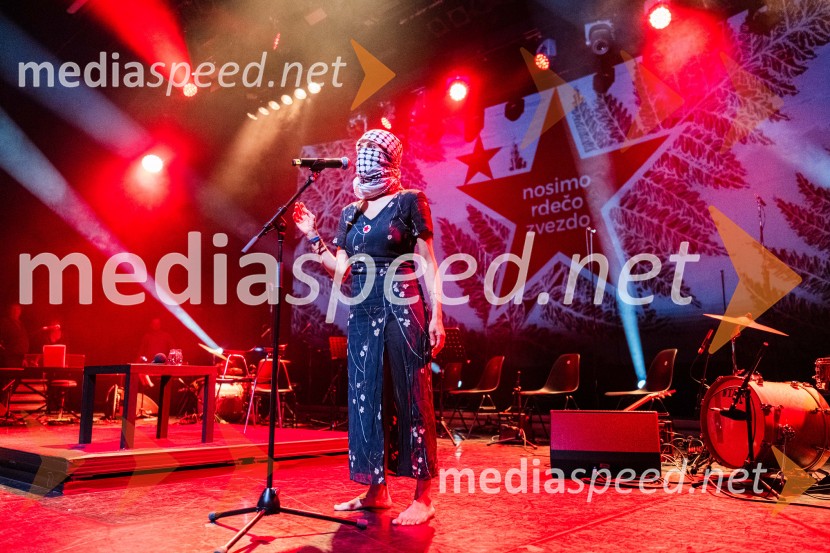 Koncert Svetlane Makarovič Nosimo rdečo zvezdo