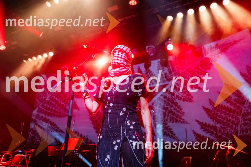 Koncert Svetlane Makarovič Nosimo rdečo zvezdo