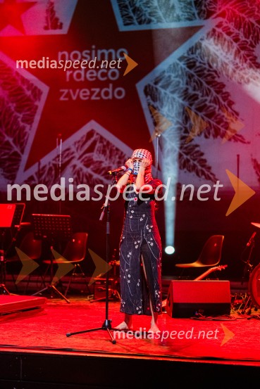 Koncert Svetlane Makarovič Nosimo rdečo zvezdo