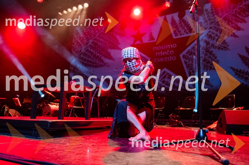 Koncert Svetlane Makarovič Nosimo rdečo zvezdo