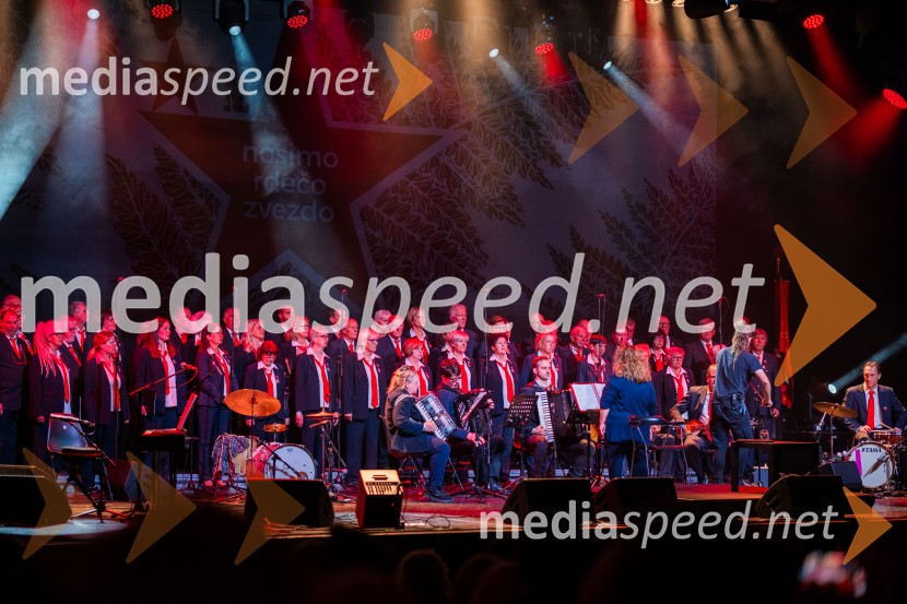 Koncert Svetlane Makarovič Nosimo rdečo zvezdo