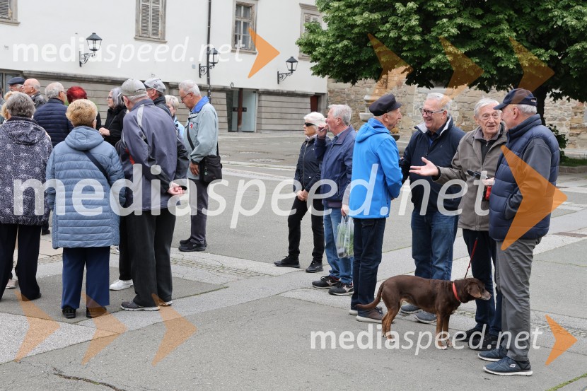 Dan Evrope 2025 v Mariboru