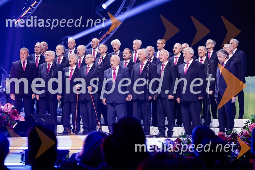 Slovesnost ob 80. obletnici konca druge svetovne vojne