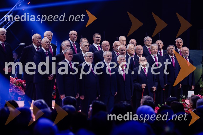 Slovesnost ob 80. obletnici konca druge svetovne vojne