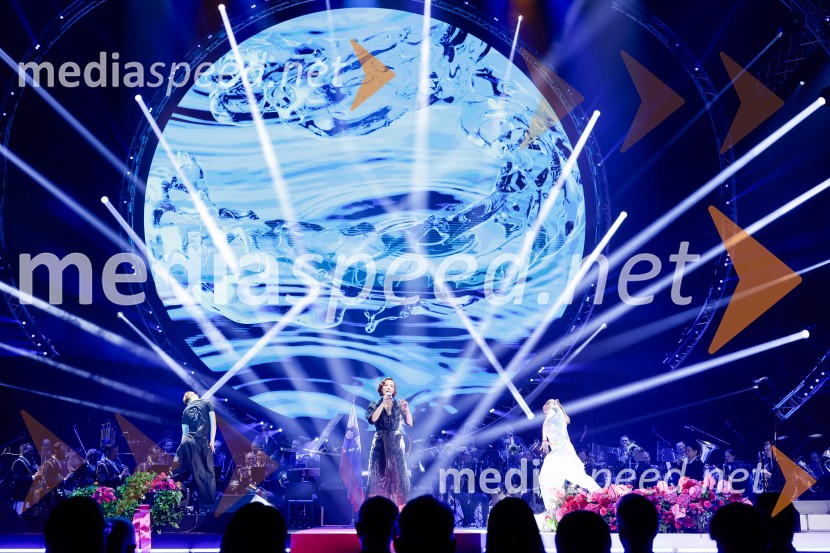 Slovesnost ob 80. obletnici konca druge svetovne vojne