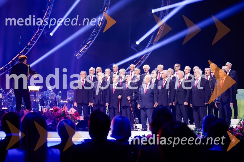 Slovesnost ob 80. obletnici konca druge svetovne vojne