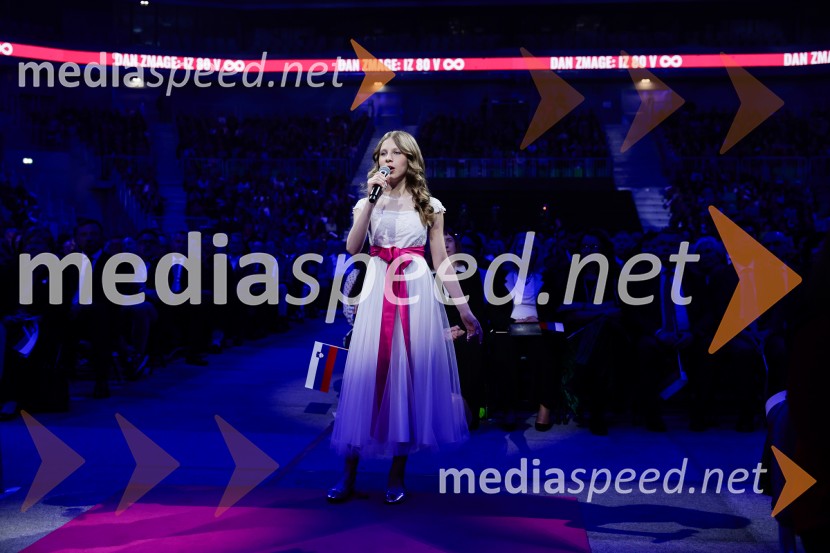 Slovesnost ob 80. obletnici konca druge svetovne vojne