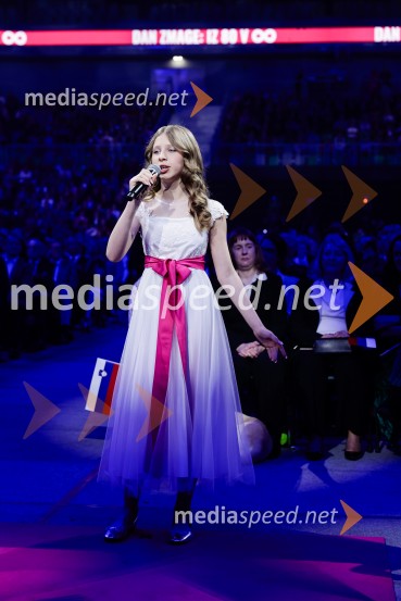 Slovesnost ob 80. obletnici konca druge svetovne vojne