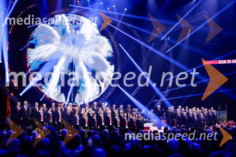 Slovesnost ob 80. obletnici konca druge svetovne vojne