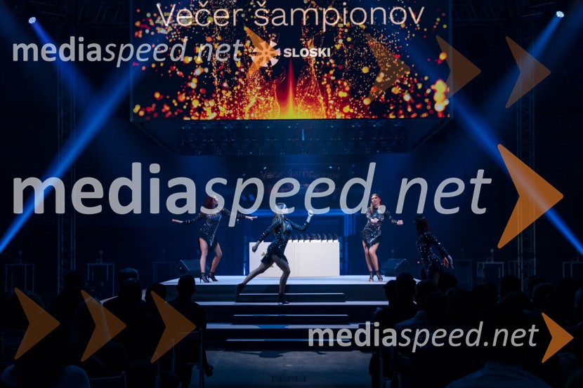 Večer šampionov 2025, Smučarska zveza Slovenije