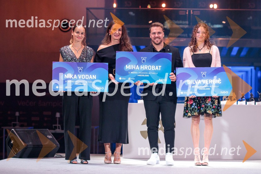  Nika Križnar, smučarska skakalka;  ... ;  Miha Hrobat, alpski smučar;  Silva Verbič, smučarska skakalkaVečer šampionov 2025, Smučarska zveza Slovenije