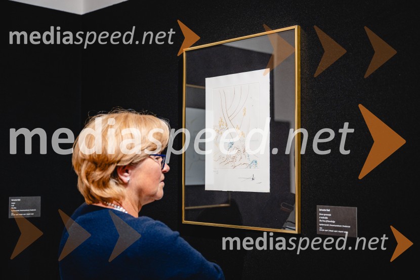 Likovni velikani na lendavskem gradu: Salvador Dalí & Otto Dix, odprtje razstave