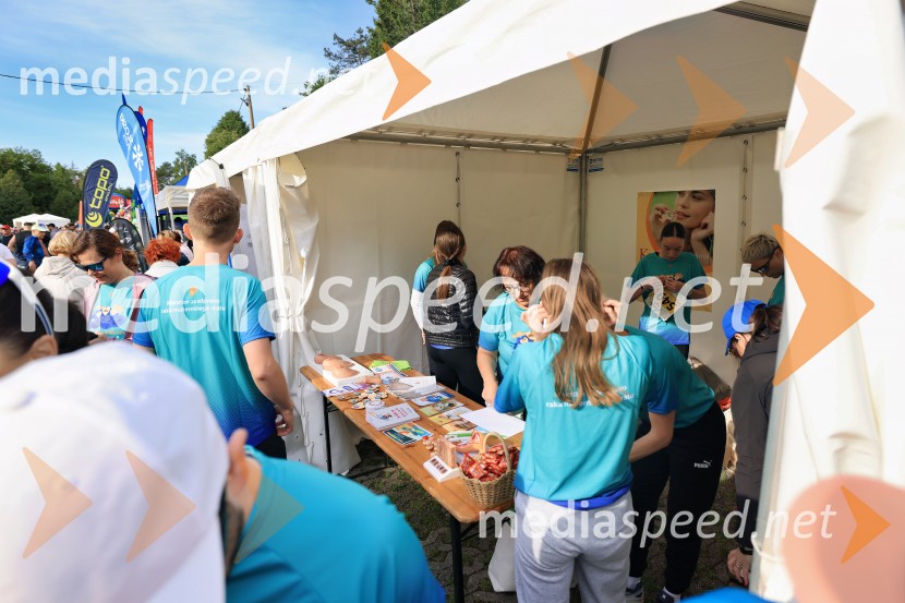 43. Maraton Treh src