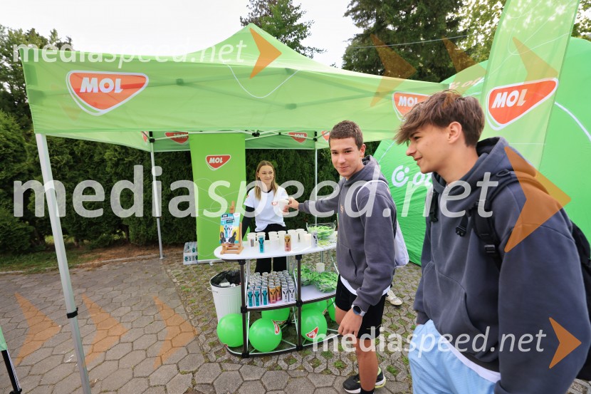 43. Maraton Treh src