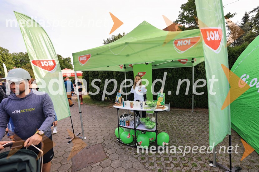 43. Maraton Treh src