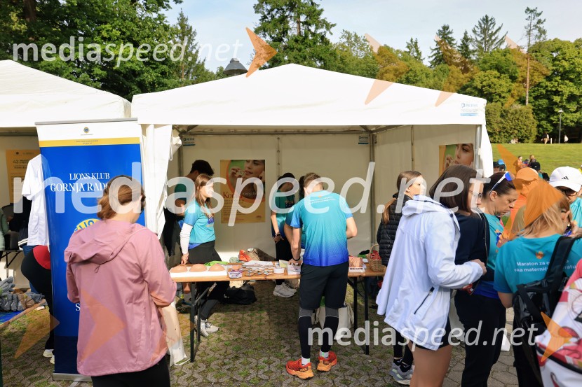 43. Maraton Treh src