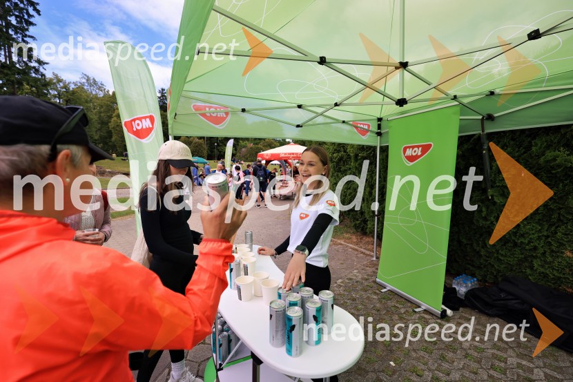 43. Maraton Treh src