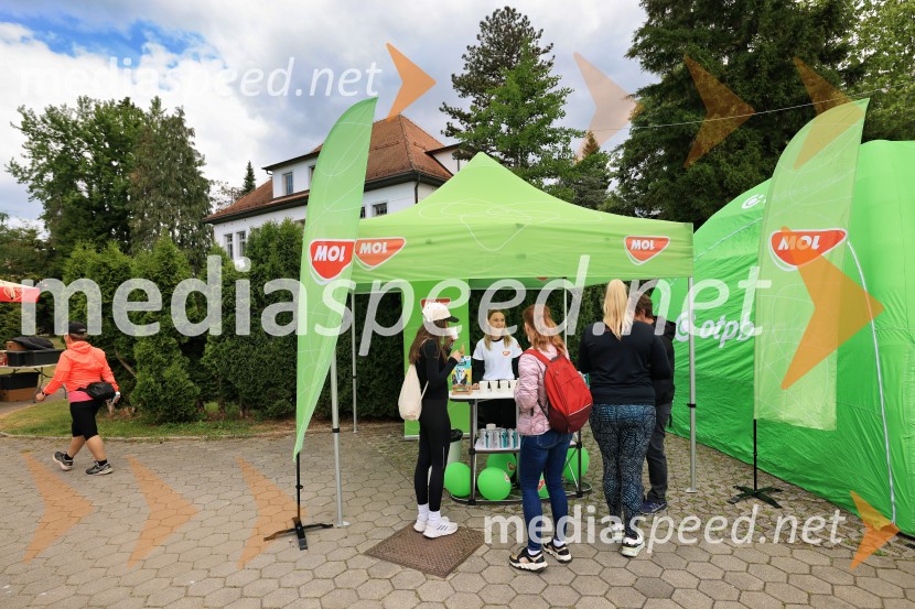 43. Maraton Treh src